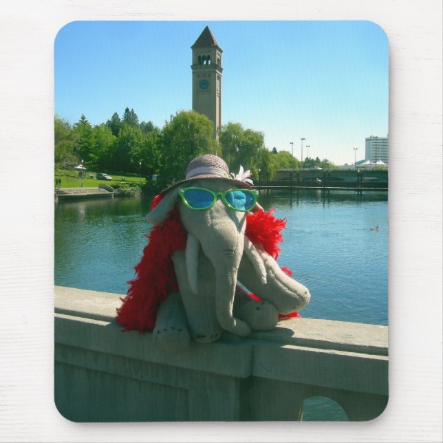 Ella i parken musmatta (Framsidan)