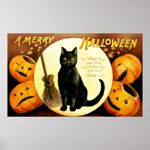 Ellen H. Clapsaddle: Halloween katt Poster