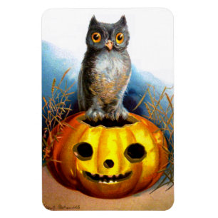 Ellen H. Clapsaddle: Halloween Uggla Magnet
