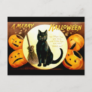 Ellen H. Kluffare: Halloween Cat Vykort