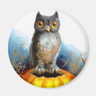 Ellen H. Kluffare: Halloween Uggla Magnet