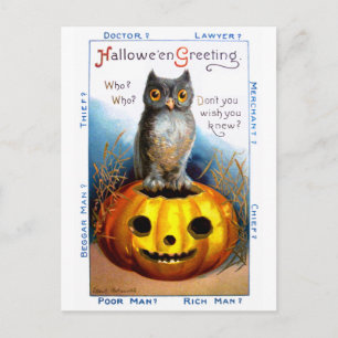 Ellen H. Kluffare: Halloween Uggla Vykort