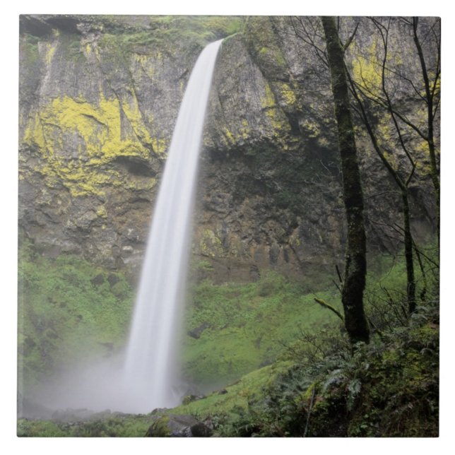 ELLER, Columbia River Gorge, Elowah Falls, McCord Kakelplatta (Framsidan)