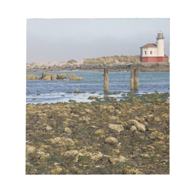 ELLER, Oregon Kusten, Bandon, Coquille River Anteckningsblock (Framsida)