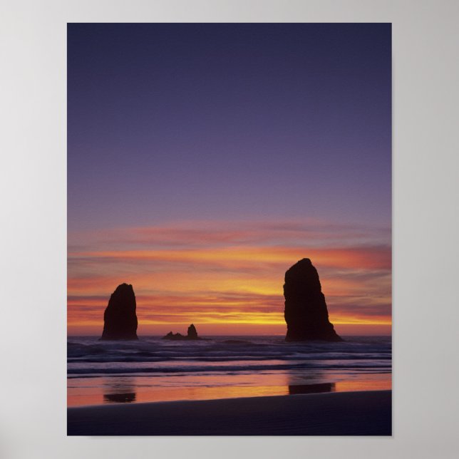 ELLER, Oregon Kusten, Cannon Beach, havsabborre vi Poster (Framsidan)