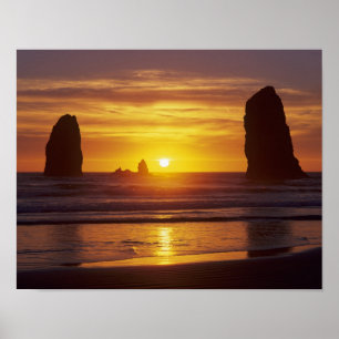 ELLER, Oregon Kusten, Cannon Beach, havsabborre vi Poster