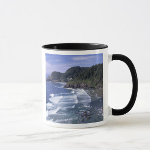 ELLER, Oregon-kusten, Heceta Head Lighthouse, på Mugg