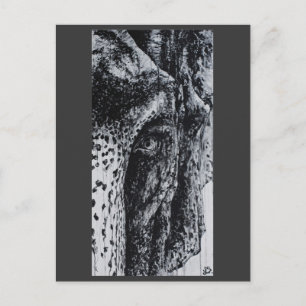 Ellie Elephant Asian Wildlife Jungle Animal Art Vykort