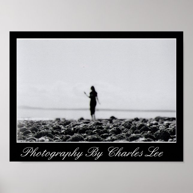 Elliot Bay Marina 1 Poster (Framsidan)