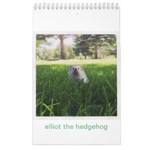 elliot igelkottkalendern kalender