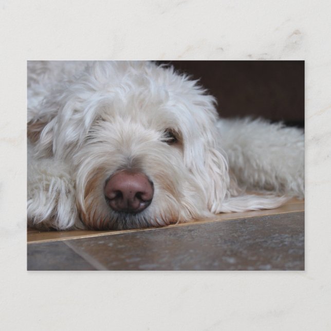 Elliot Vykort (Framsida)