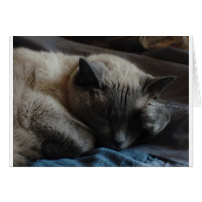 Elliott's Tass Hälsningskort (Framsidan Horizontal)