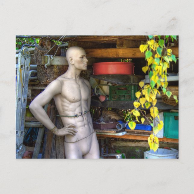 Ellis Garden III Vykort (Framsida)