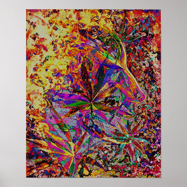 Elly Poster (Framsidan)