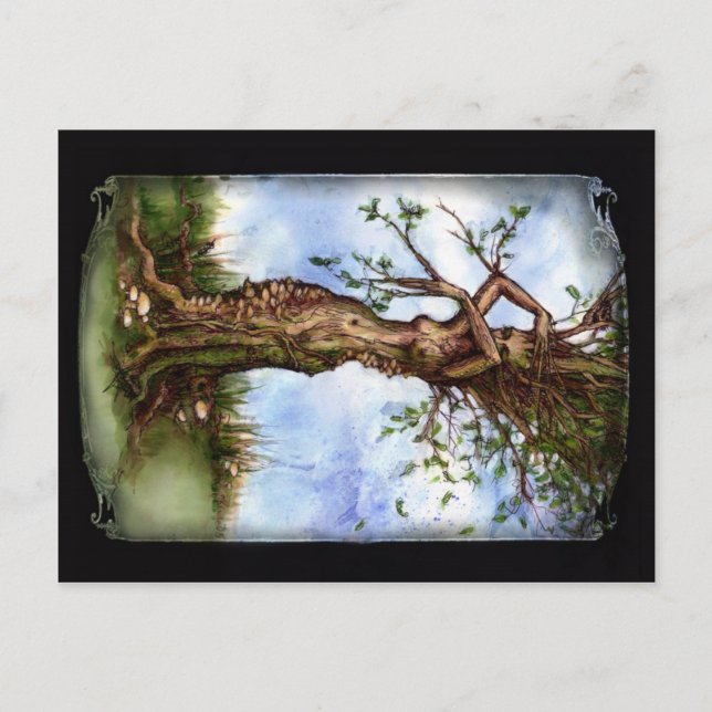 Elm Maid Vykort (Framsida)