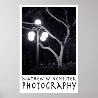 Elm och Lamppost Poster