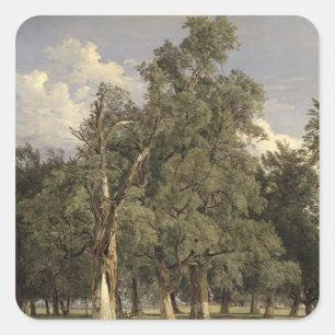 Elm träd i Prater, 1831 Fyrkantigt Klistermärke