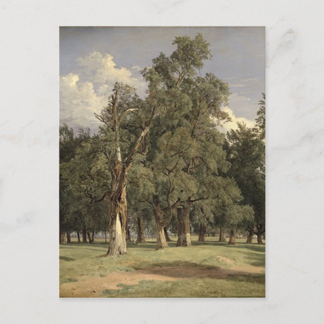 Elm träd i Prater, 1831 Vykort (Framsida)