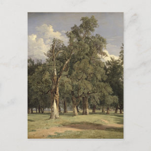 Elm träd i Prater, 1831 Vykort