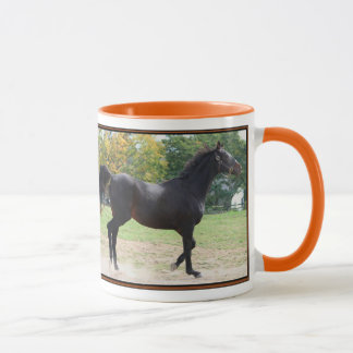 Elmhurst - "97 avelsdjur sprintar kopp vinnaren