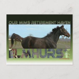 Elmhurst - "97 Breeders" Kopp Sprint Winner Vykort