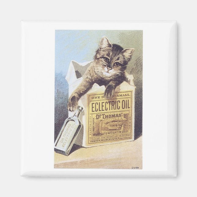 Eloljekatt Magnet (Framsidan)