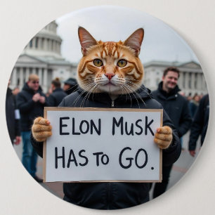 Elon Musk måste åka till Cat Policy Knapp
