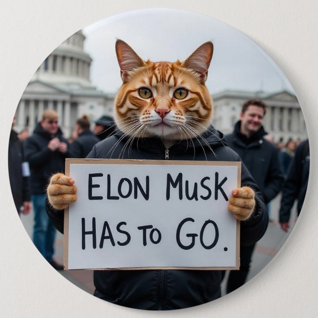 Elon Musk måste åka till Cat Policy Knapp (Framsida)