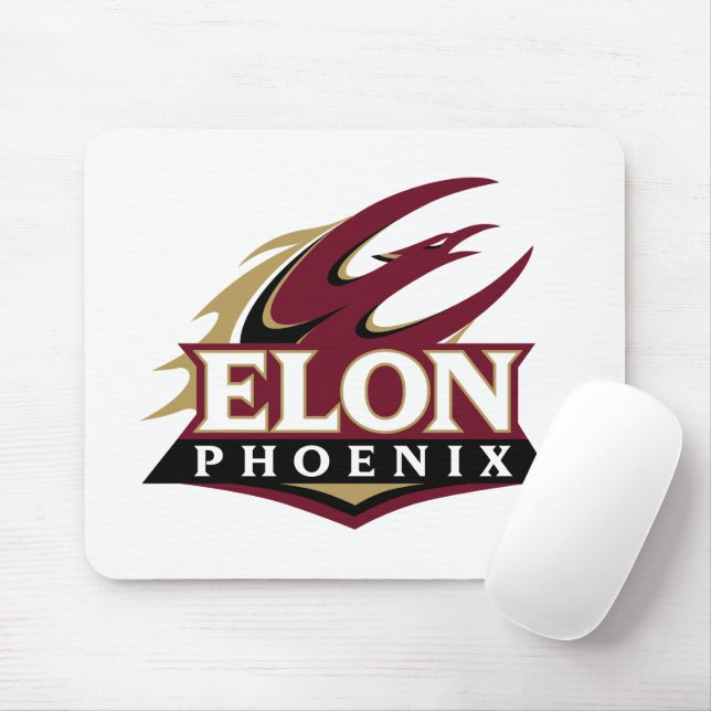 Elon Phoenix Musmatta (Med mus)