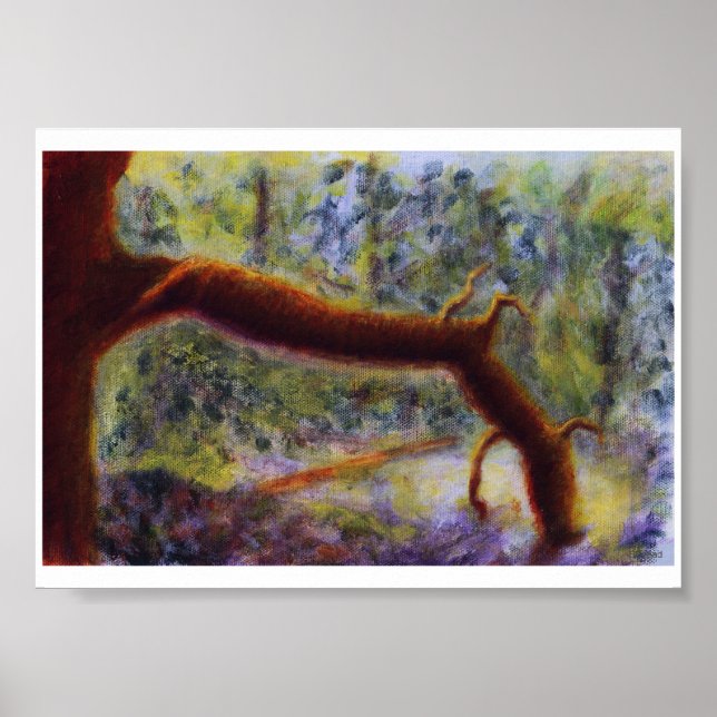 Elora Gorge, Poster (Framsidan)