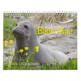 ELSIE MAE 2025 - TUGBOAT PARK - SKYLINE ANACORTES KALENDER