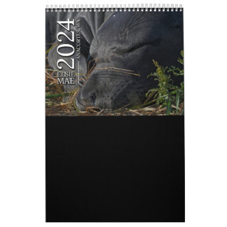 Elsie Mae Calendar Kalender