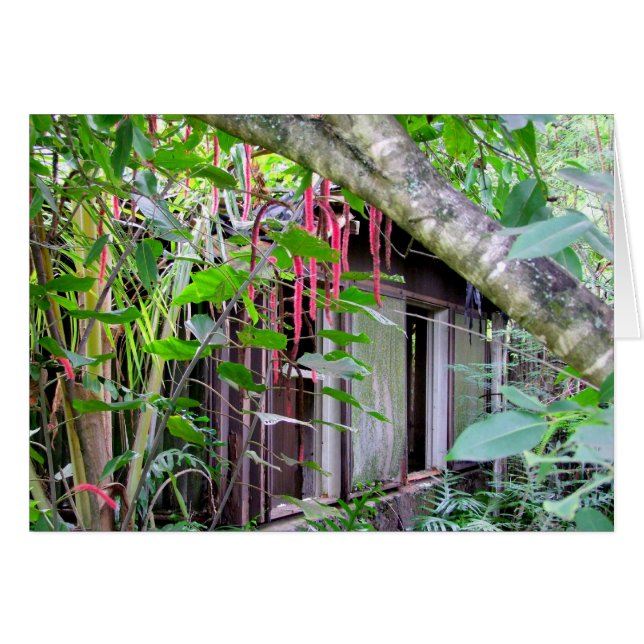 Elvis Presley Bungalow Hälsningskort (Framsidan Horizontal)