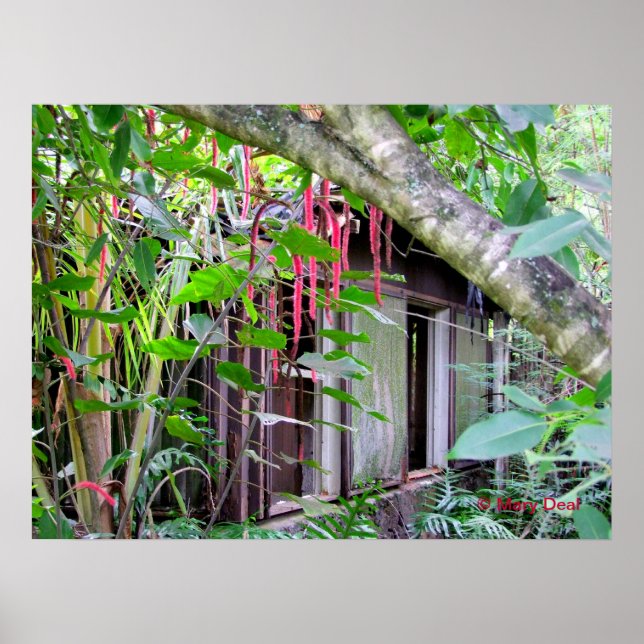 Elvis Presley Bungalow Poster (Framsidan)