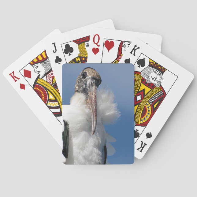 Elvis - Wood Stork - leka kort Casinokort (Baksidan)