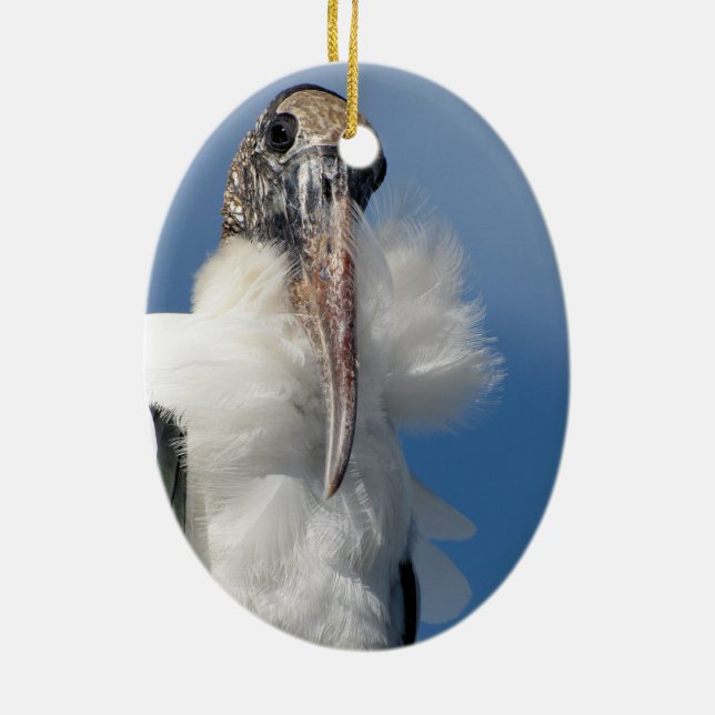 Elvis - Wood Stork - Ornament (Baksidan)