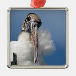 Elvis - Wood Stork - Premium Ornament