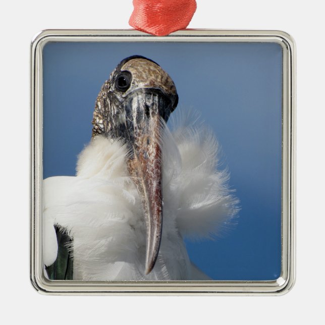 Elvis - Wood Stork - Premium Ornament (Framsidan)