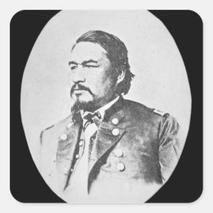 Ely Samuel Parker (1828-95) Senecachef och Feder Fyrkantigt Klistermärke