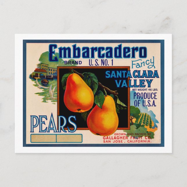 Embarcadero Finare Santa Clara Pears Vykort (Framsida)