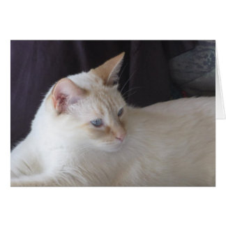 Ember serene hälsningskort