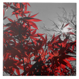 Embers of Autumn Kakelplatta