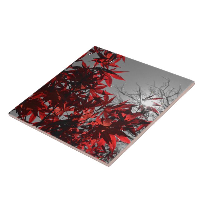 Embers of Autumn Kakelplatta (Sidan)