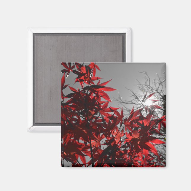 Embers of Autumn Magnet (Front/Back)