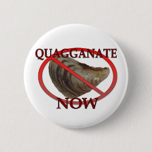 Emblem av Quagganatoren Knapp