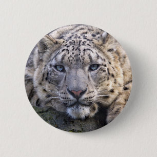 Emblem för Vishnu snöLeopard Knapp