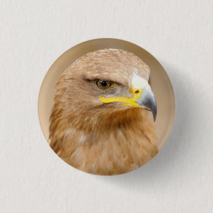 Emblem med den guld- örnen knapp