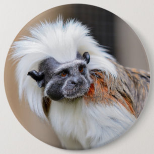 Emblem med denbästa Tamarinapan Knapp