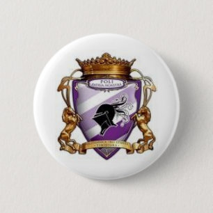 emblemapolitimisoara knapp
