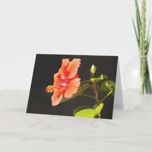 Embossed Red Hibiscus, Brenda's Flower Kort